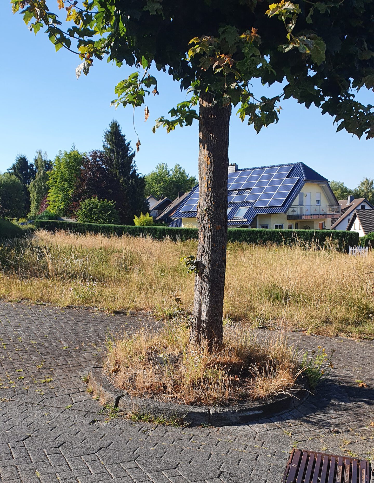 Das Dorf gemeinsam schöner und bunter machen