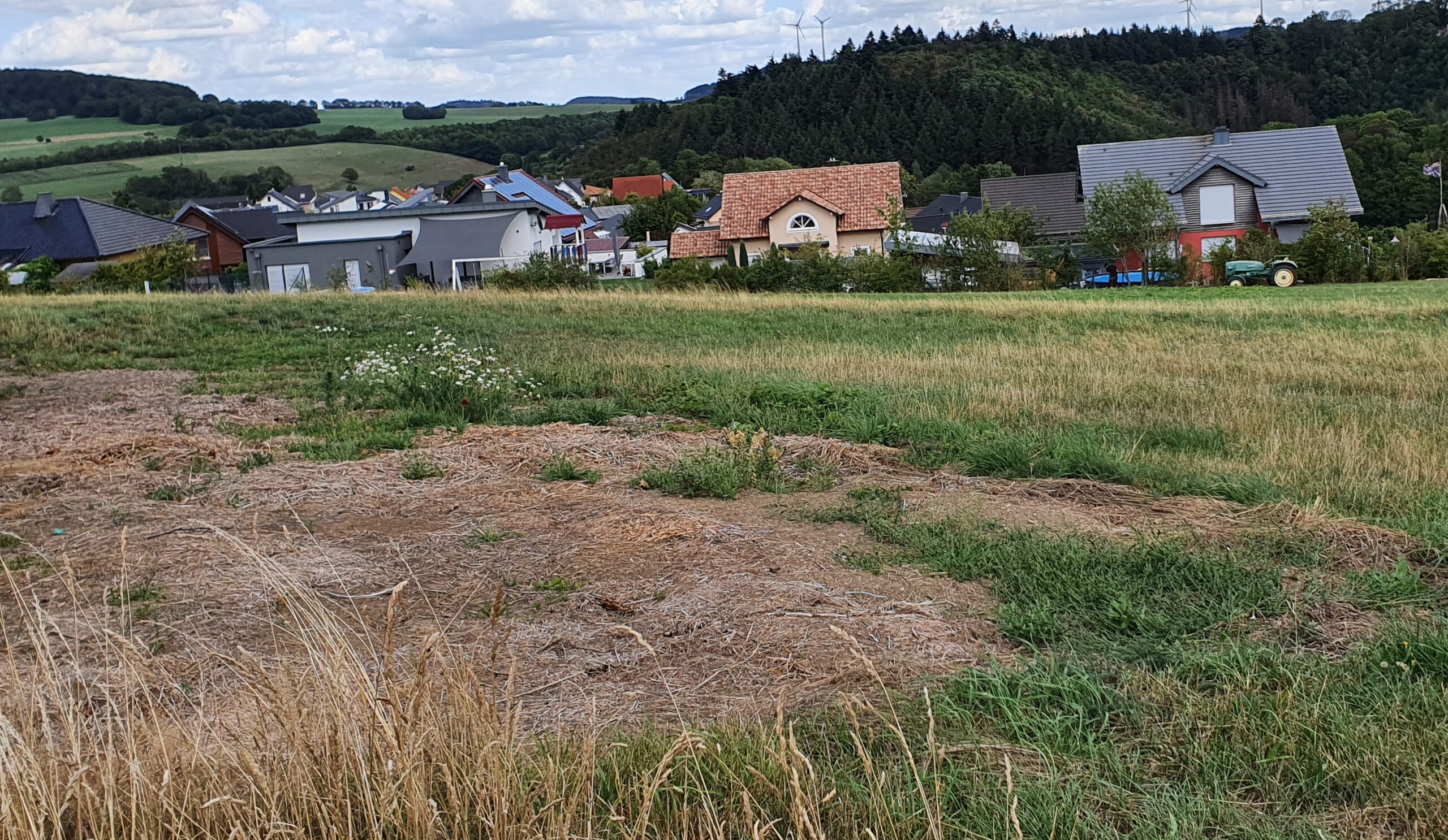 Gemeinderat und Dorfentwicklungsausschuss mit neuen Terminen