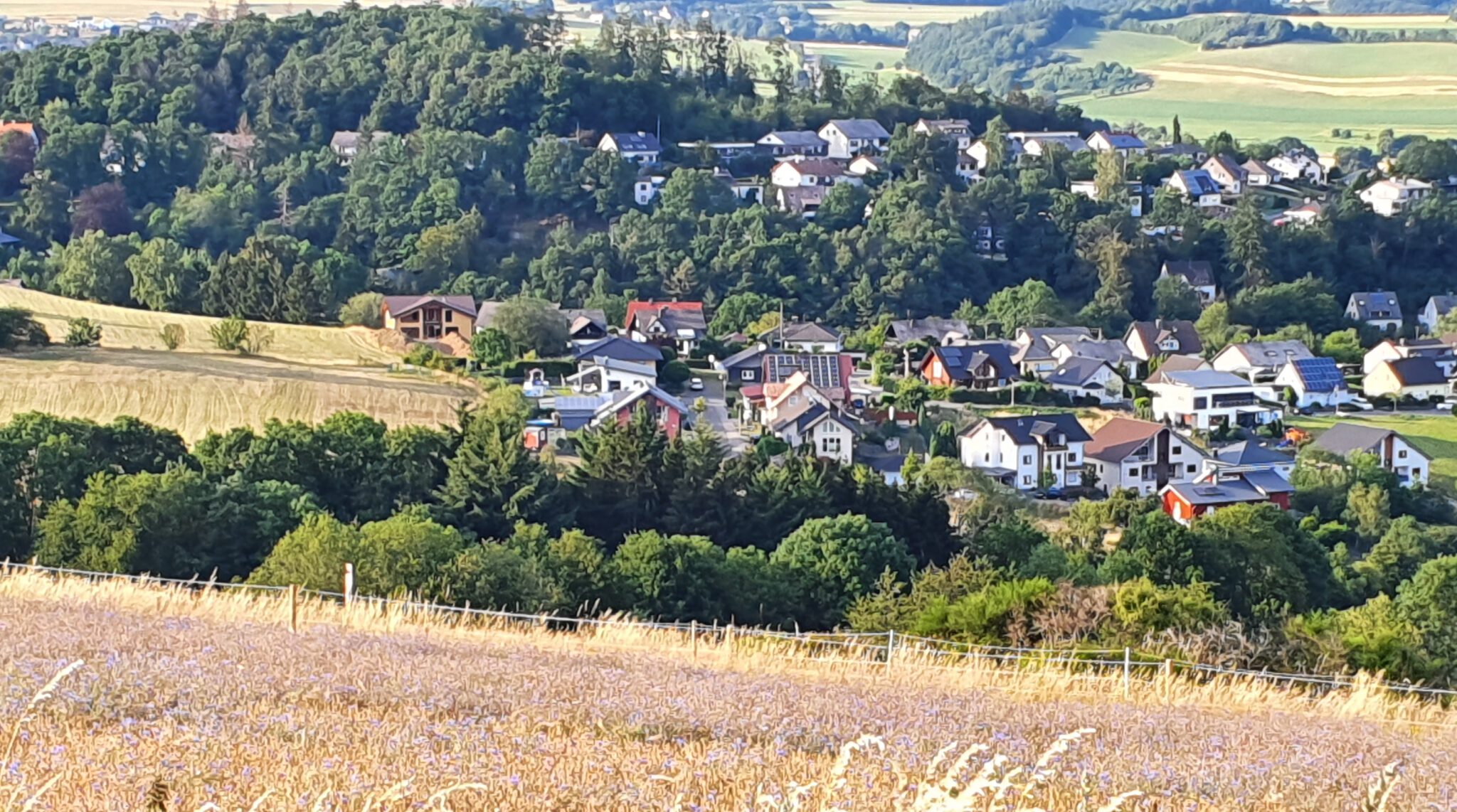 Weiterer Schritt zur Verbesserung des Ortsbildes FWG Kempenich